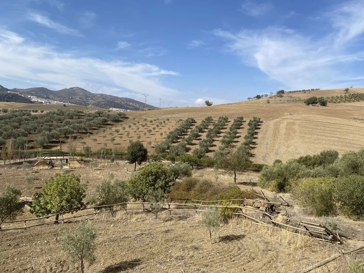 491e08b1-afc9-412f-b1c4-a29162fc0a46