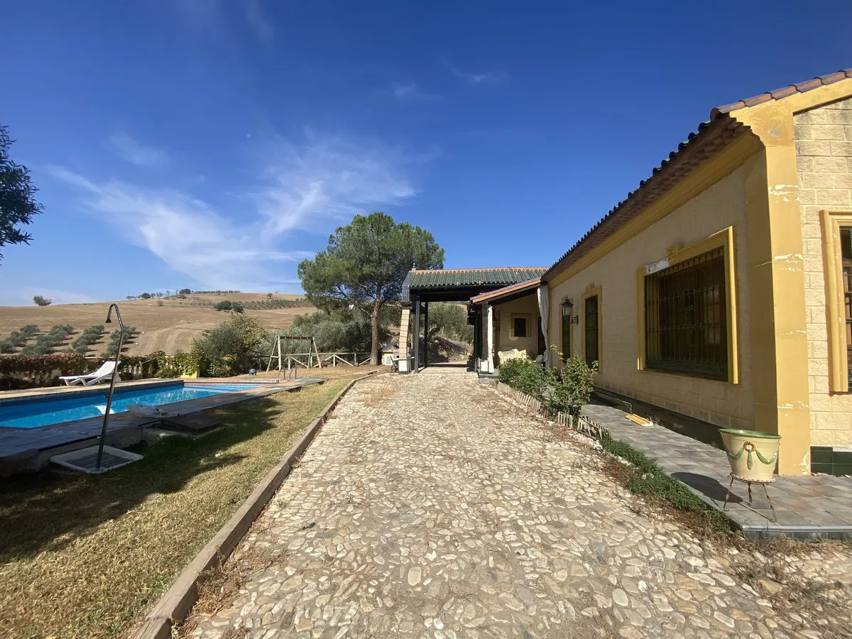 5250d6e9-f12b-4954-9682-71ee9ec926fd