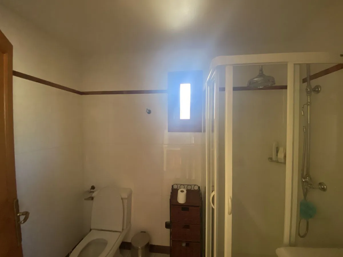 56337fb7-854e-474a-b817-7d704585710c