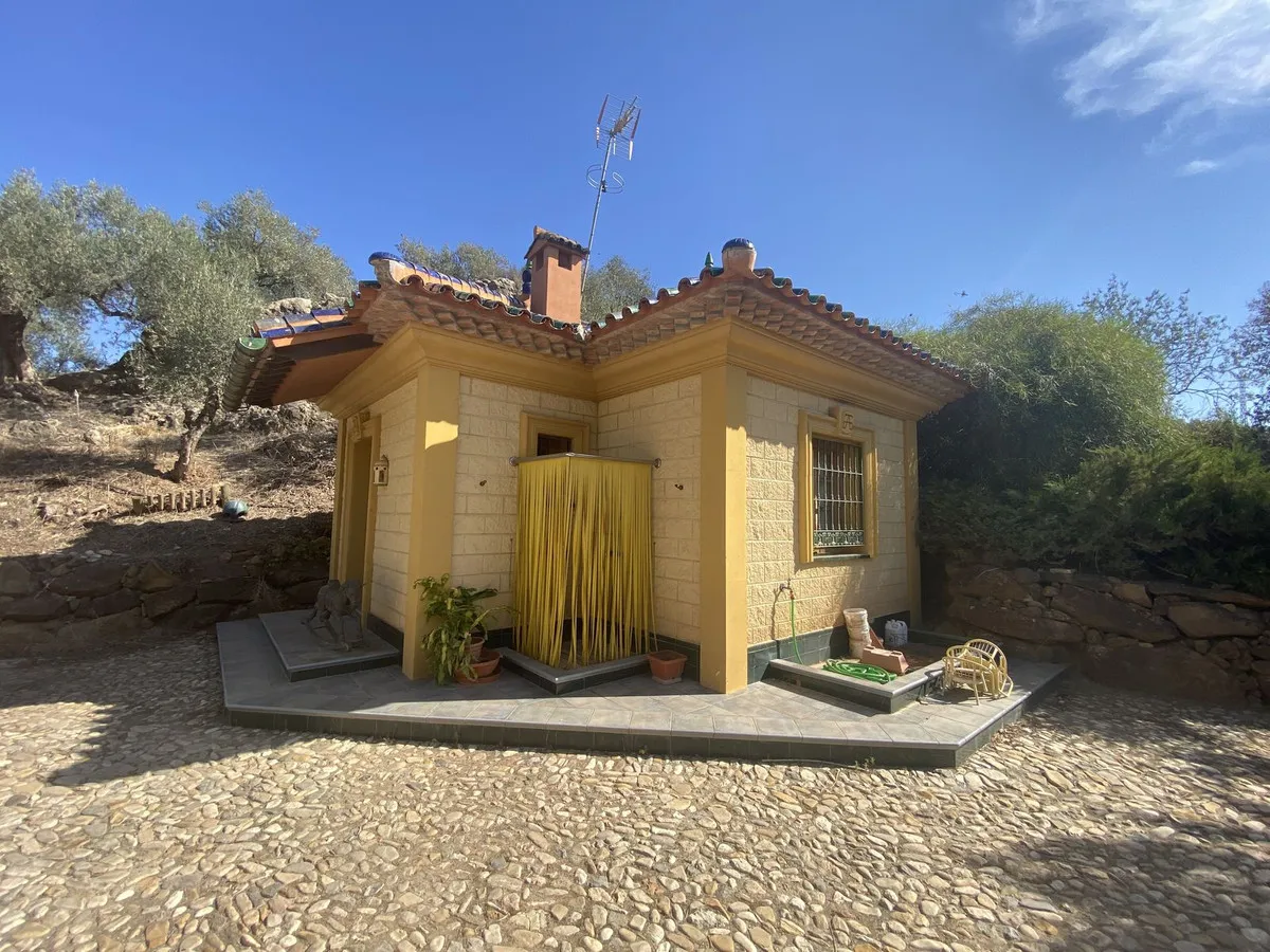 703e0de3-387c-4184-998e-74a7c096bb5a