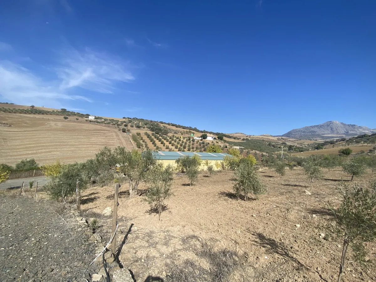 8f019894-7b24-402b-a045-14319cf043c4