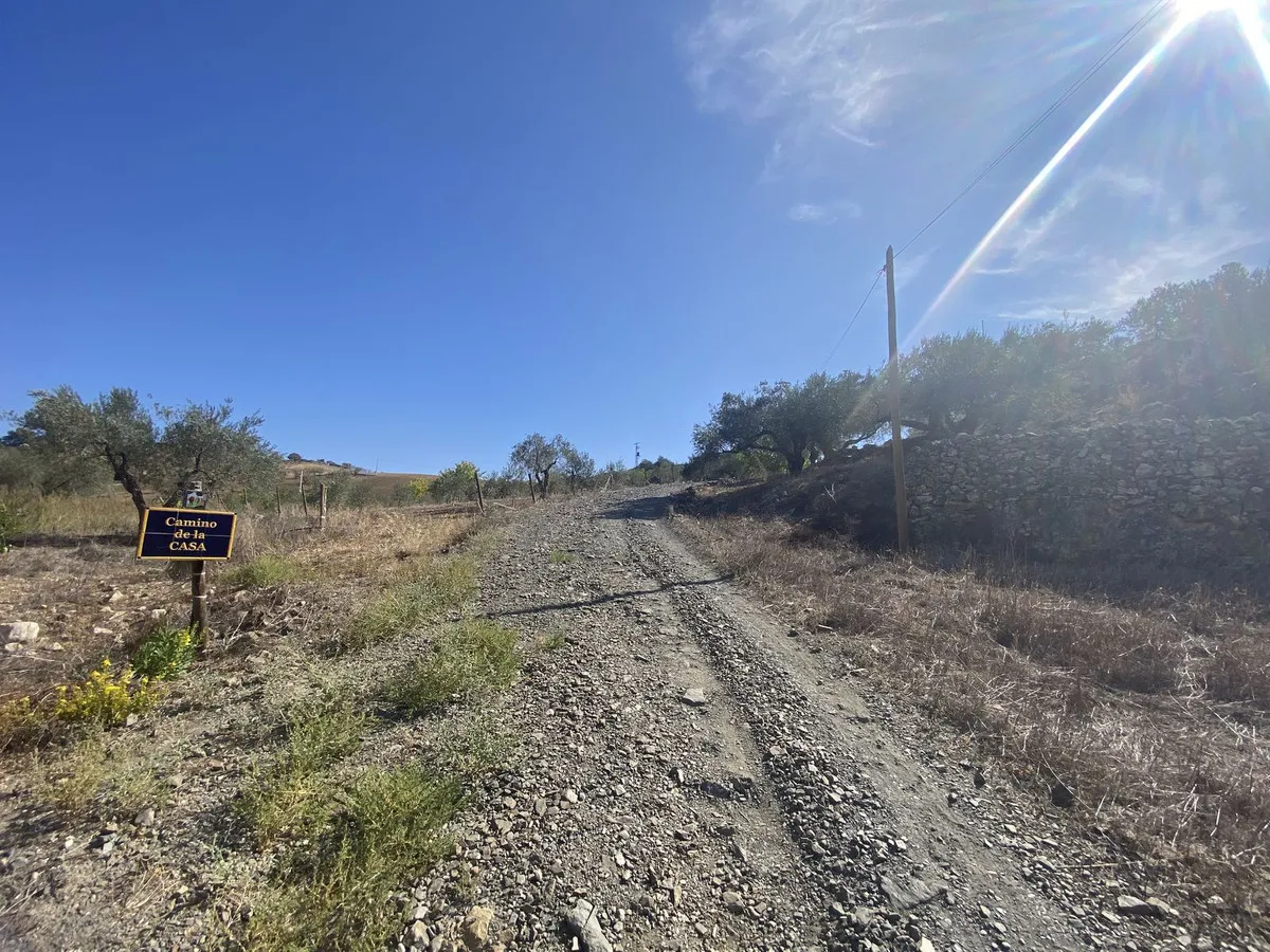 8fa245e4-03b0-4c27-81b7-6f942046fd38