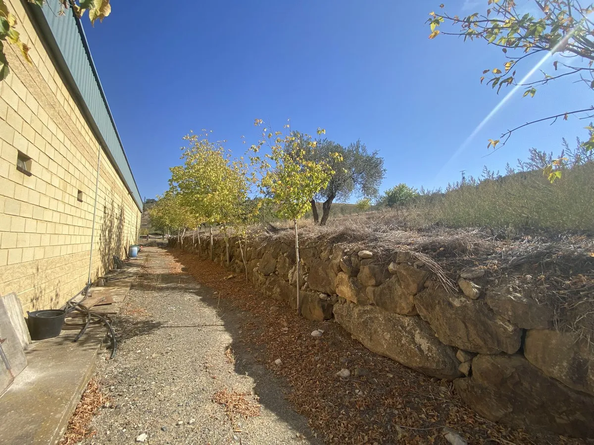 c5c80867-a4b2-44ef-a0f0-568007a68a12