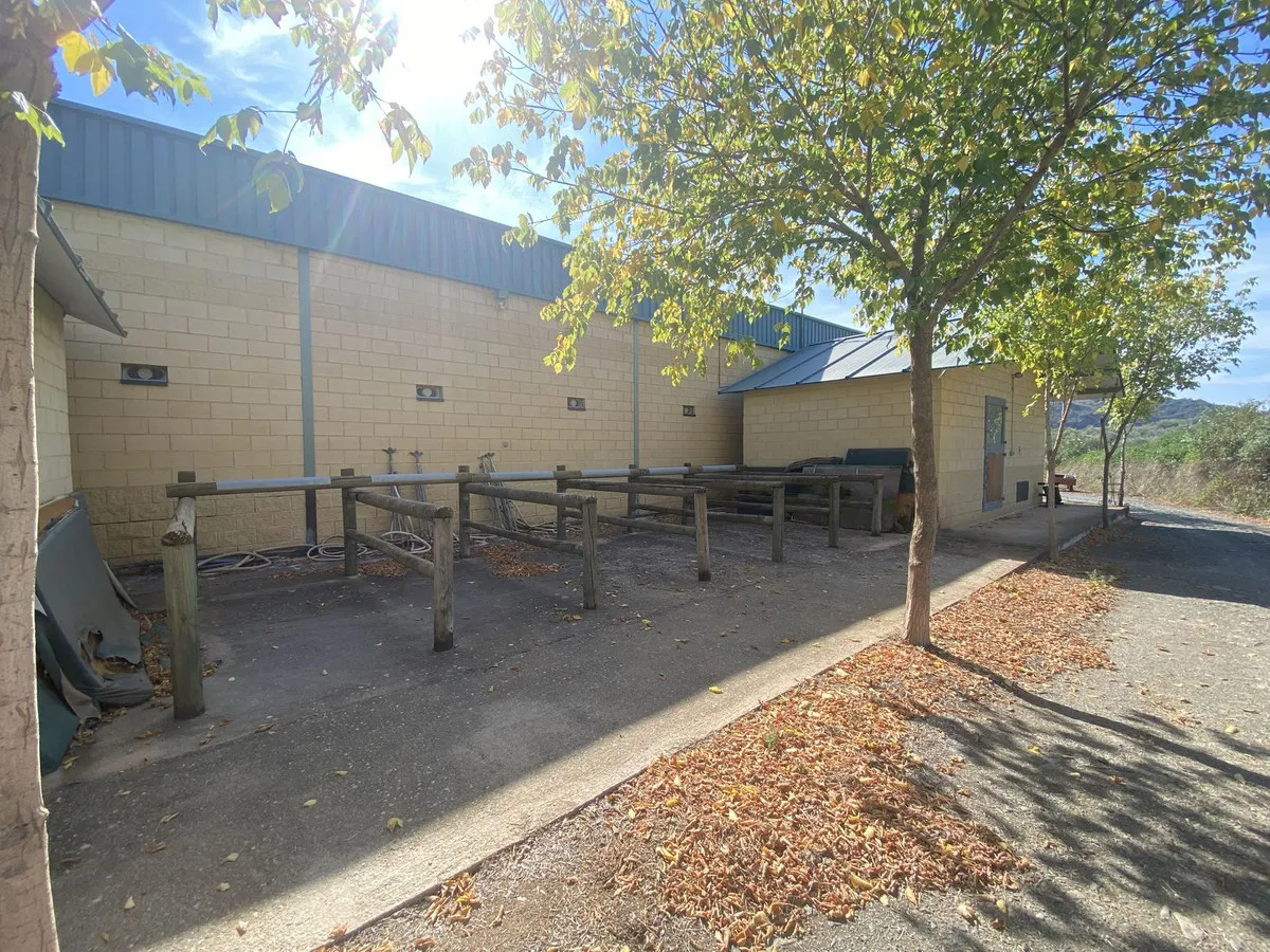 d55dd5b7-4a1e-4142-ae49-8df907d0f93b