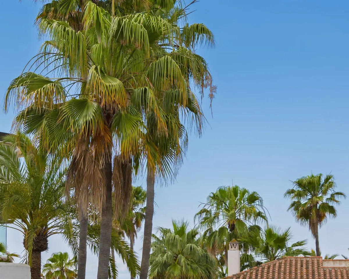 42a12f25-f5cc-418c-b71c-f1c8f9209a6a