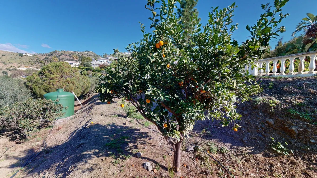 dbd79902-e454-4769-990c-00e3c4f9b4b4