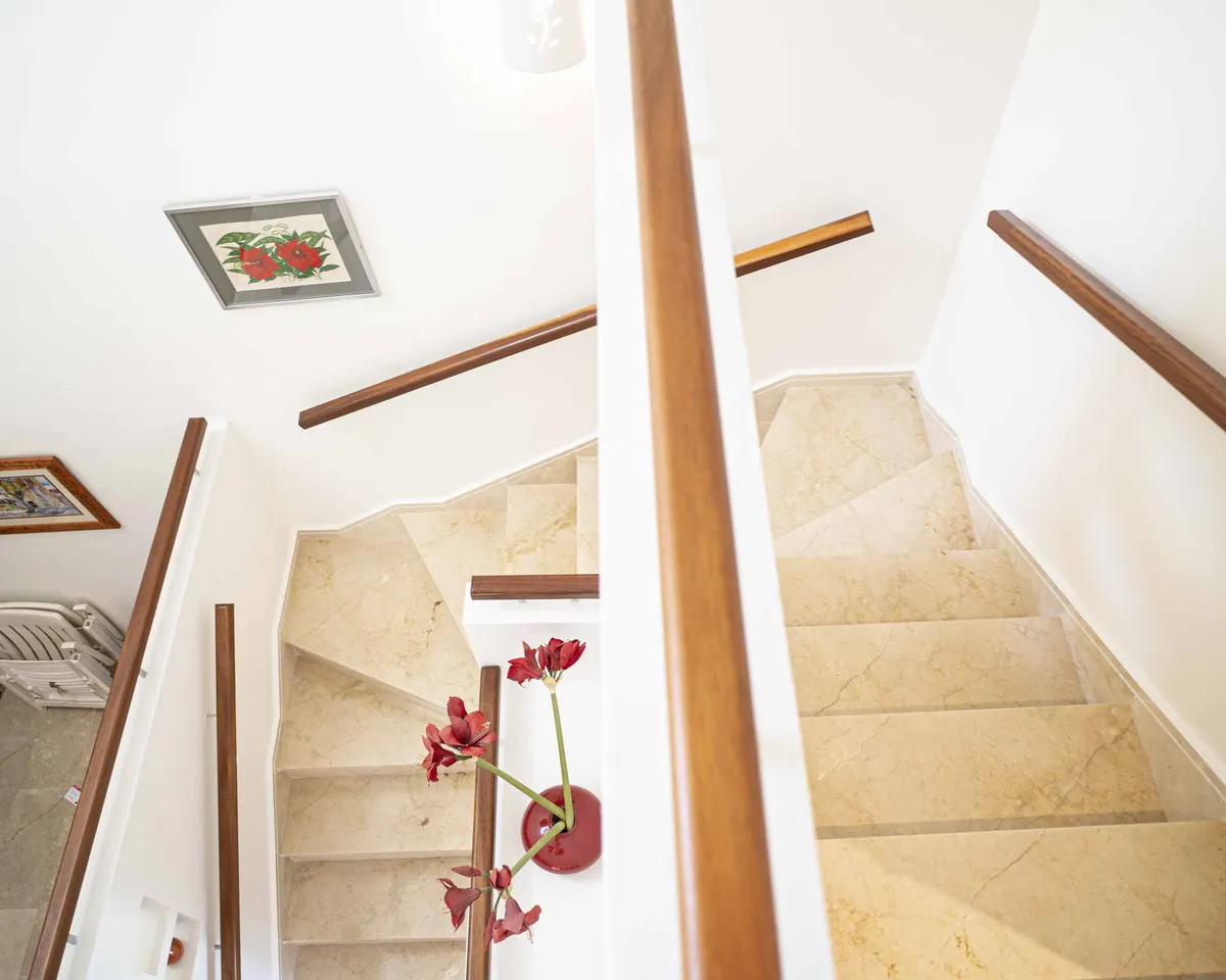 5aebf553-d046-4766-9d9e-7881283e843a