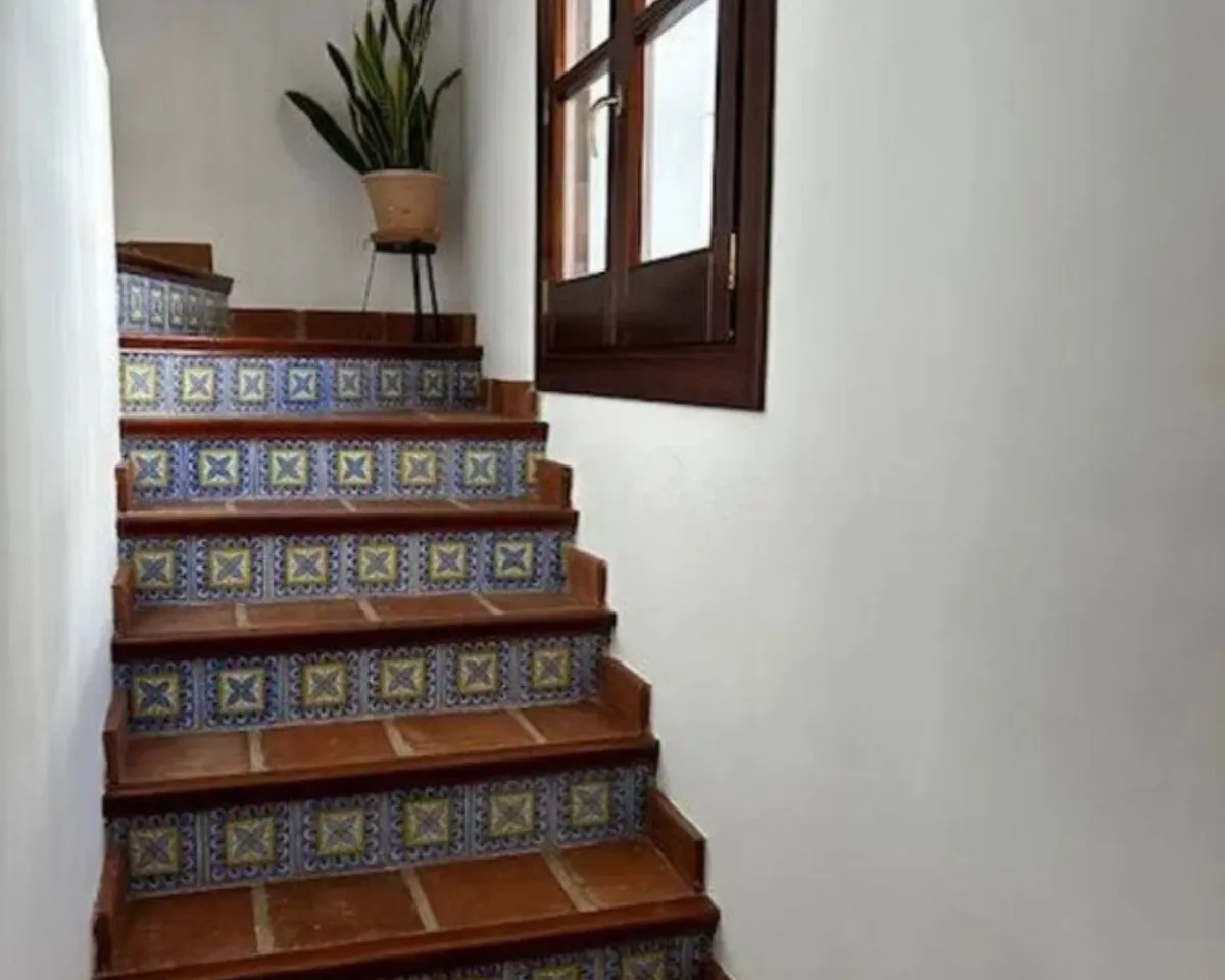 5449128d-aed8-4bb9-bd94-2b112b194fe4