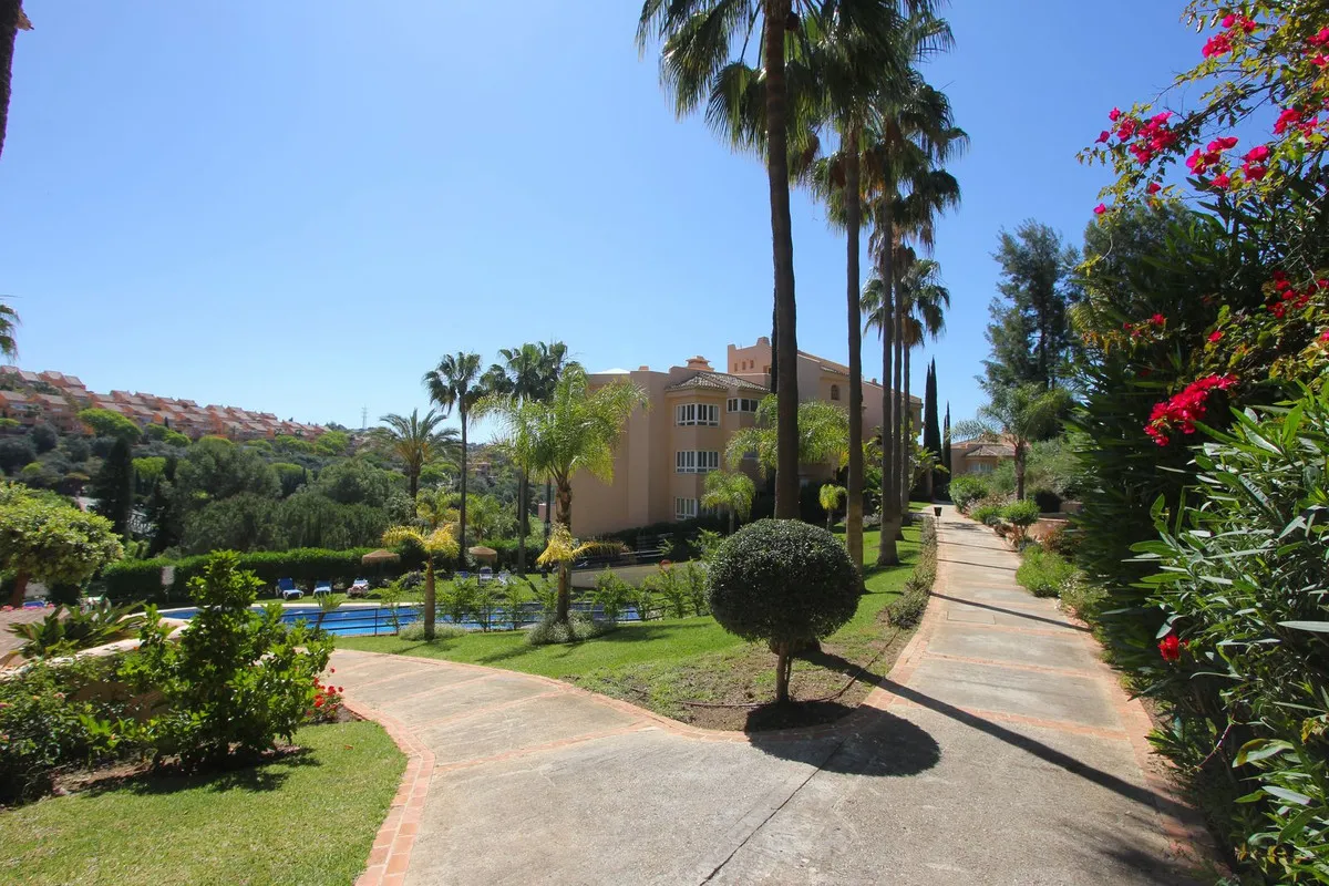 c1bfca58-00f9-4646-9a7b-6b74484d4dcd