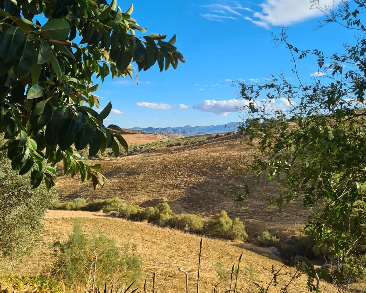 0df3048e-496d-42e8-8342-76631f42d451