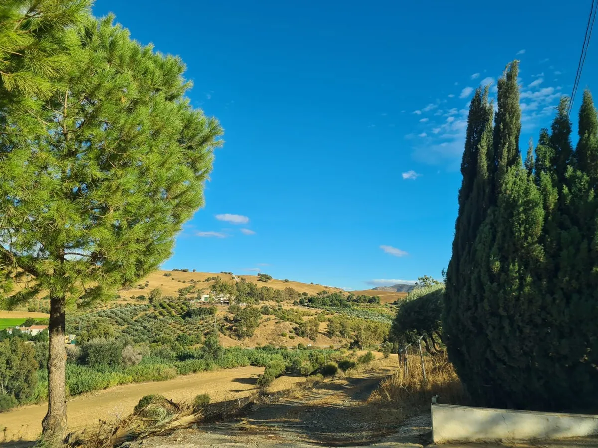 a53de805-c4b1-4e27-9356-9af5e37243de