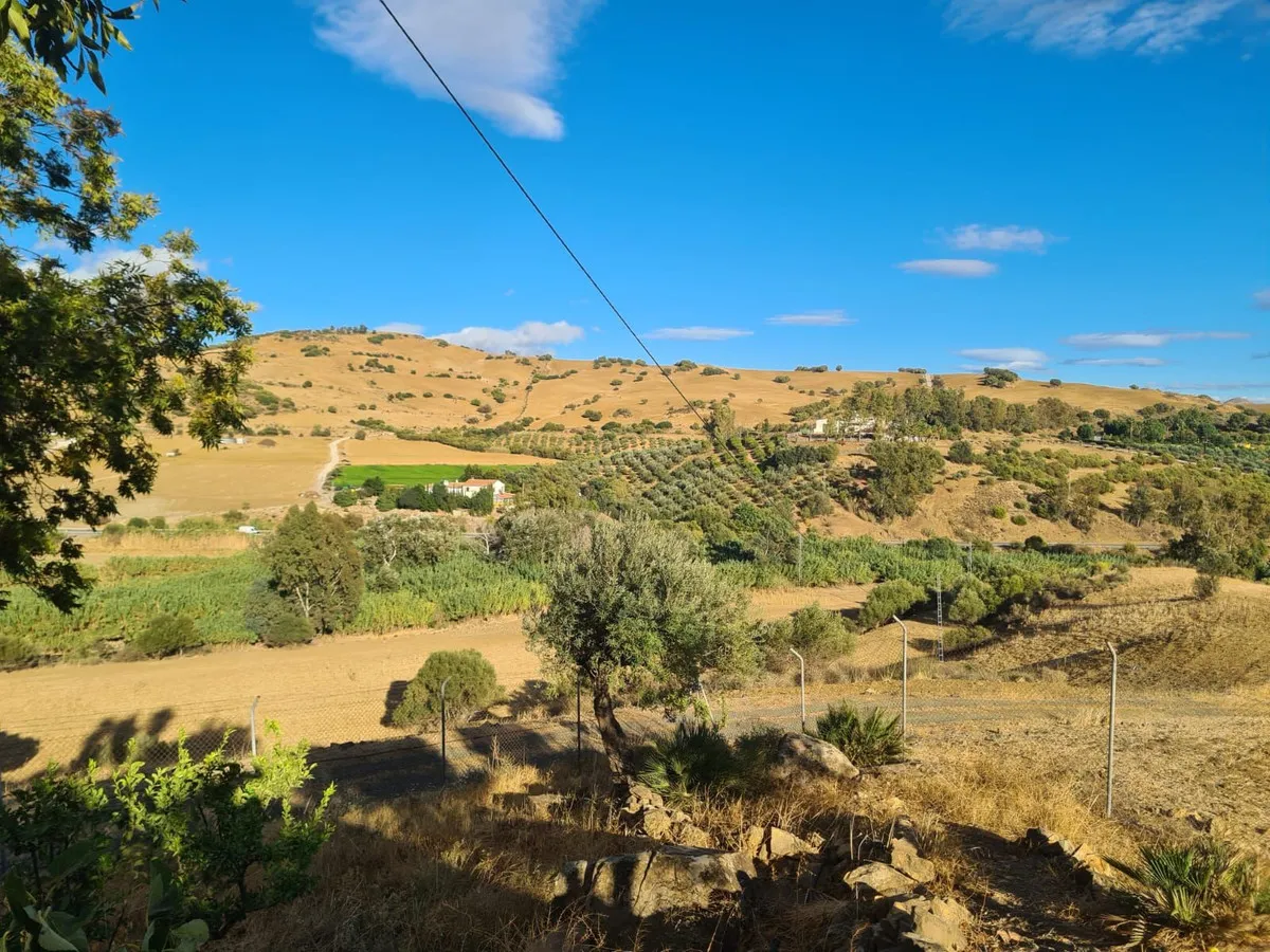 b431c18d-9686-4bf1-8bbd-03b3587f7052