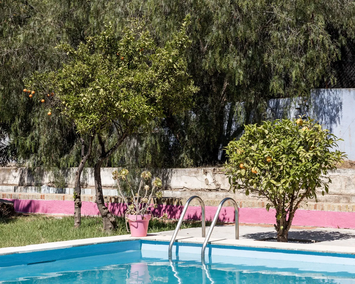 091d4532-1ee0-49a6-a018-9c5f3945d050