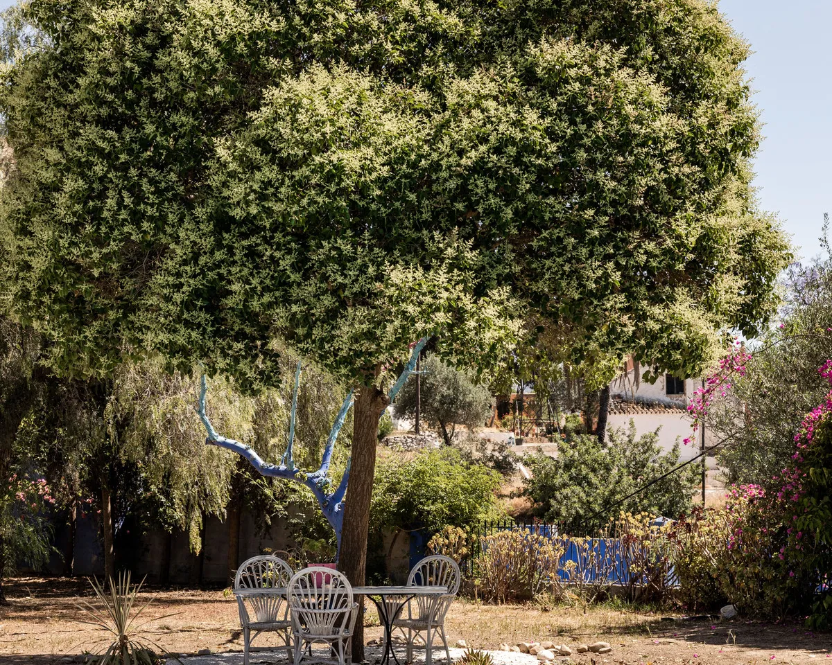 1db378d7-6df3-4380-b407-49445ca6ad5c