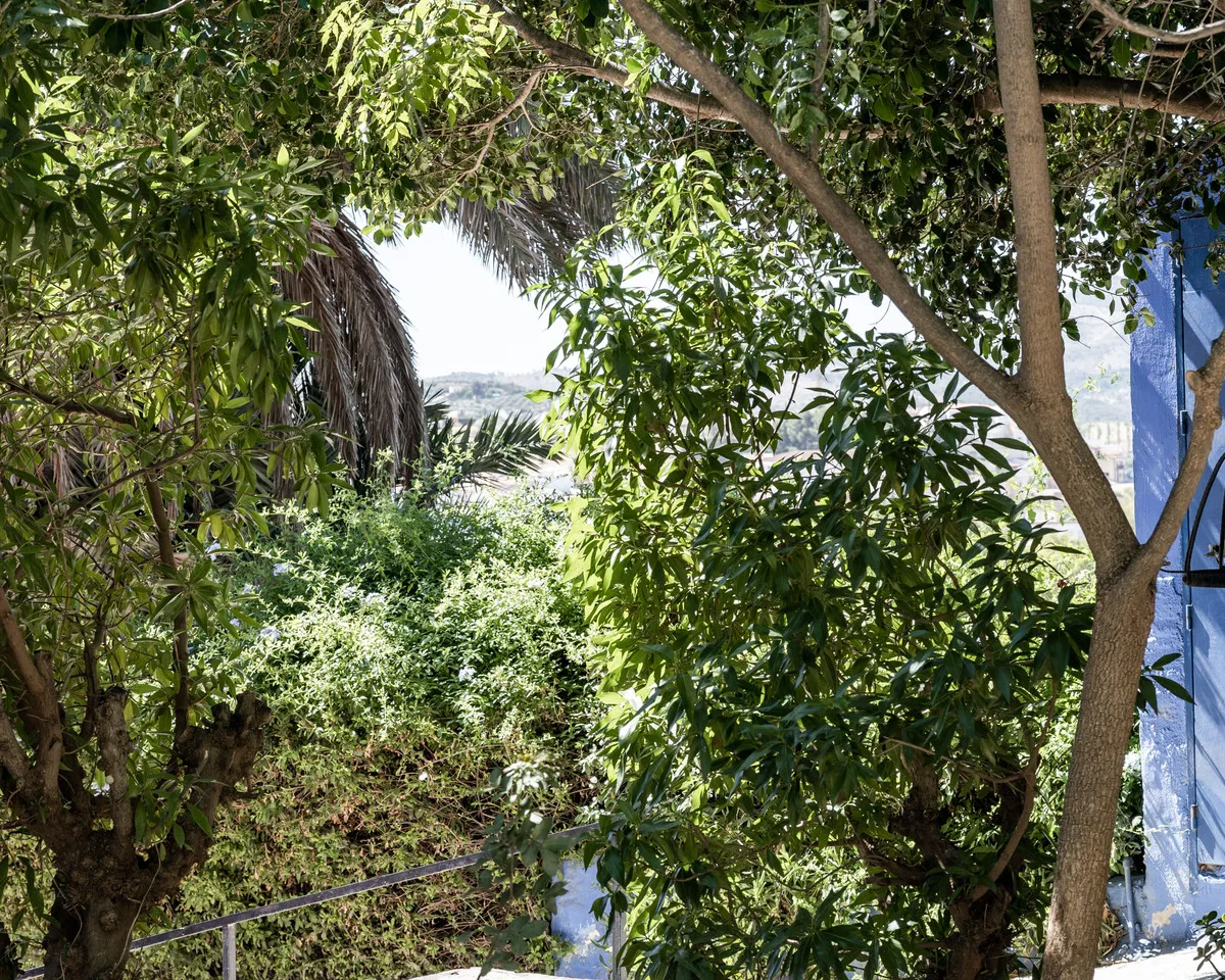 4a5a605d-3590-496a-b06b-8805ca9d4e7b