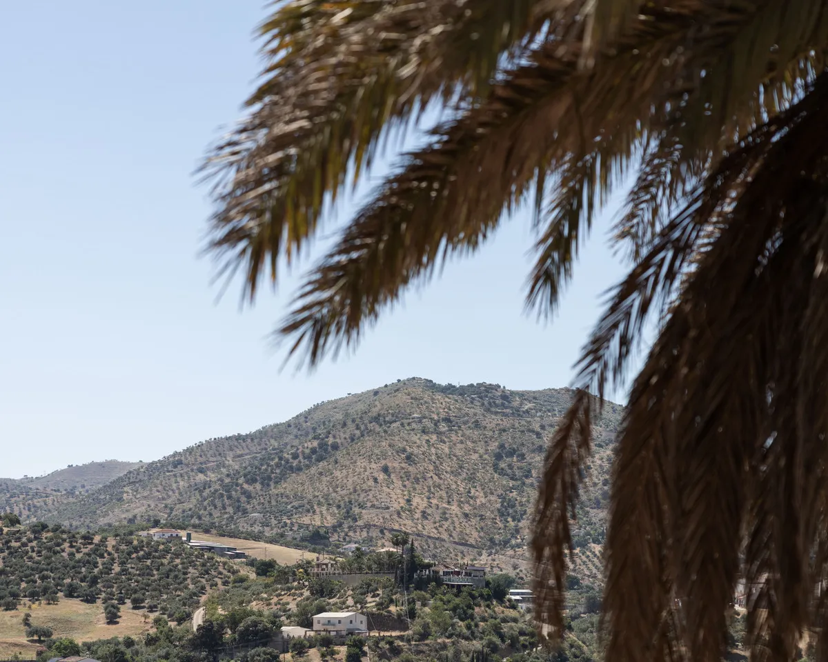 5e69f826-67e7-4ccc-9eab-cc0999f304d9