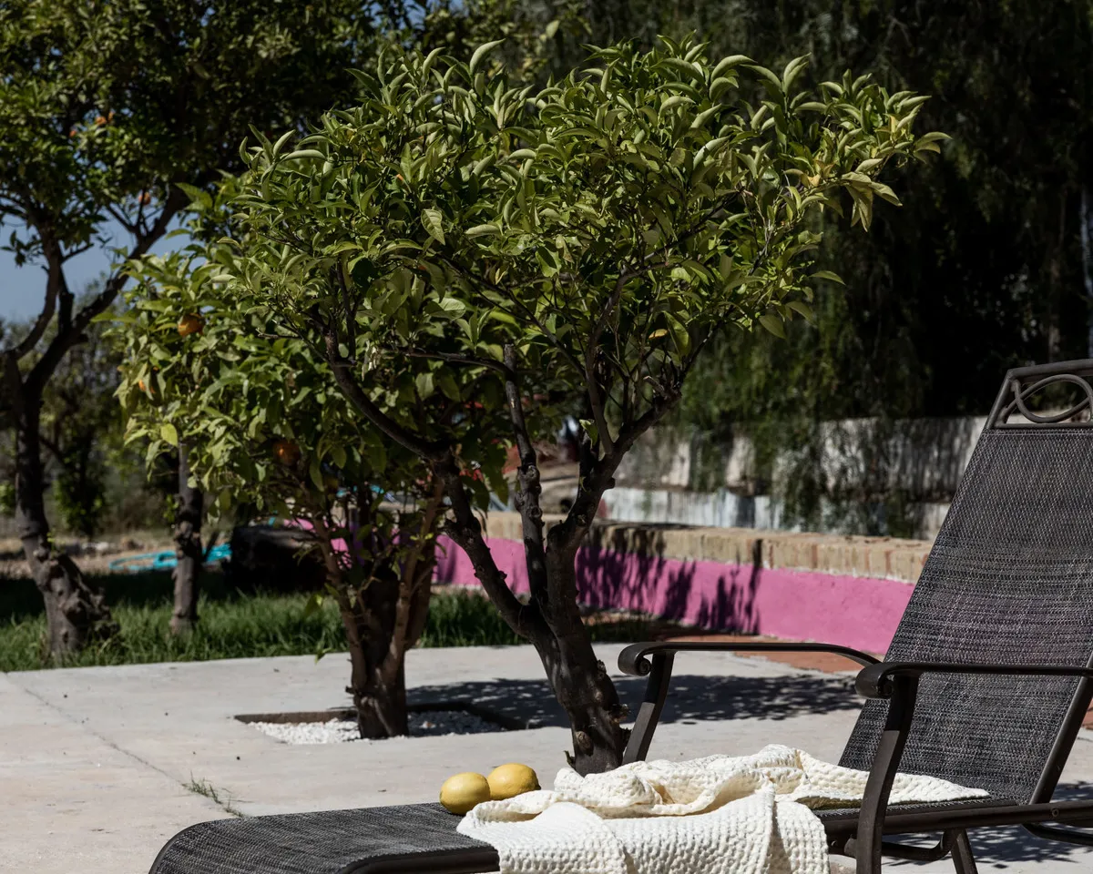 6fdac4b8-0cc5-40ad-821d-8e76ab063e24