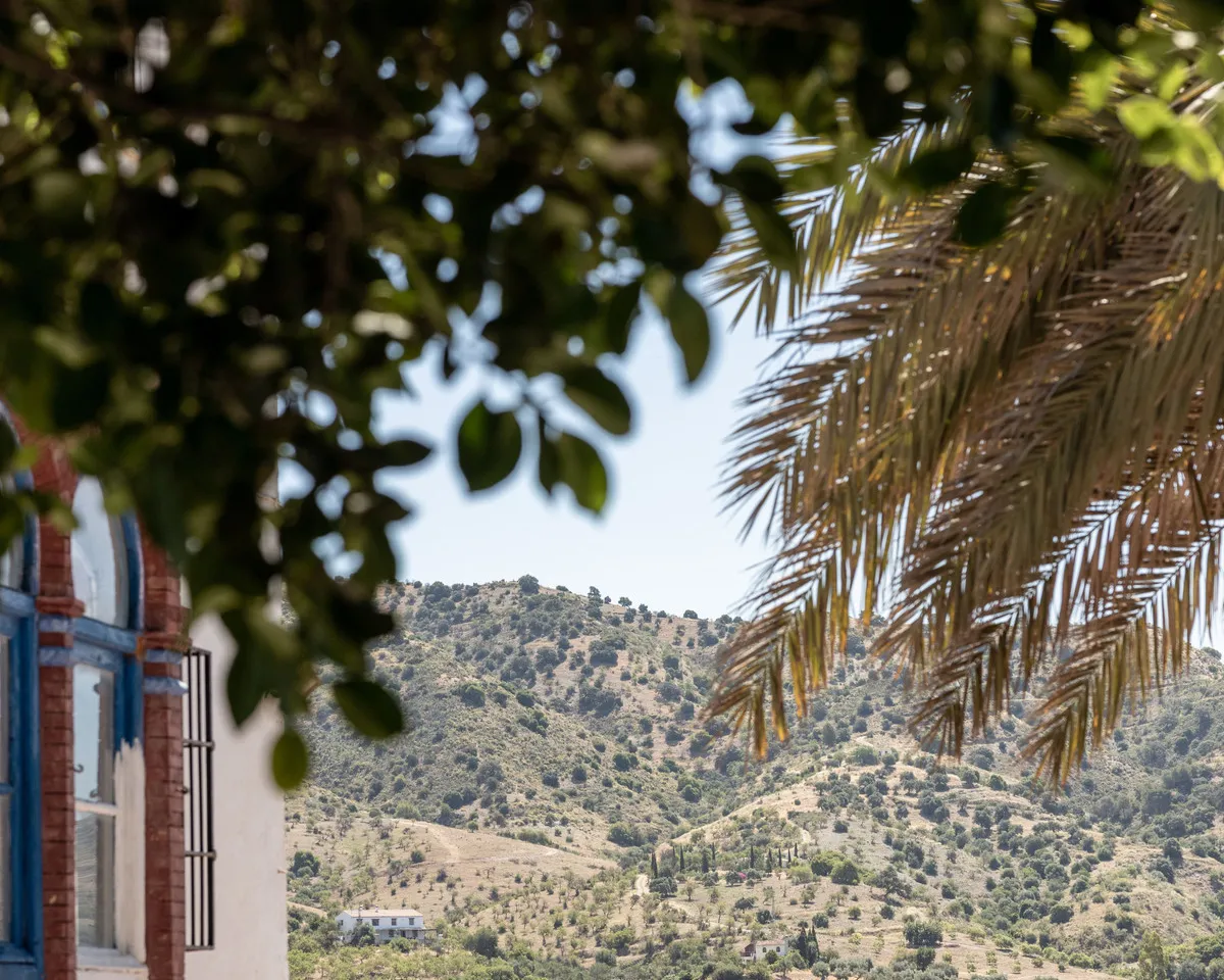 c6e947c3-bddd-4a00-affa-87f063e78141