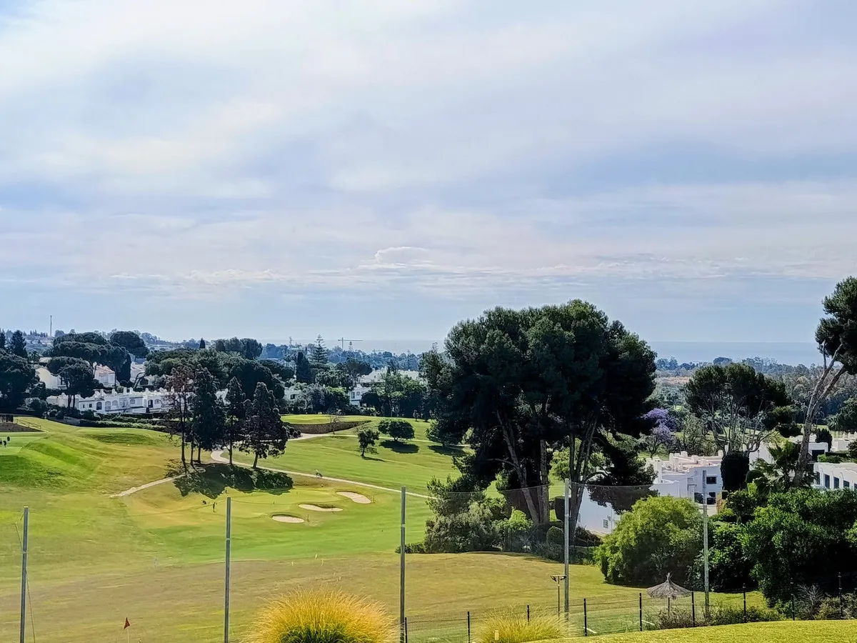 d5509791-c6a1-40e5-8307-63d08fc79c17