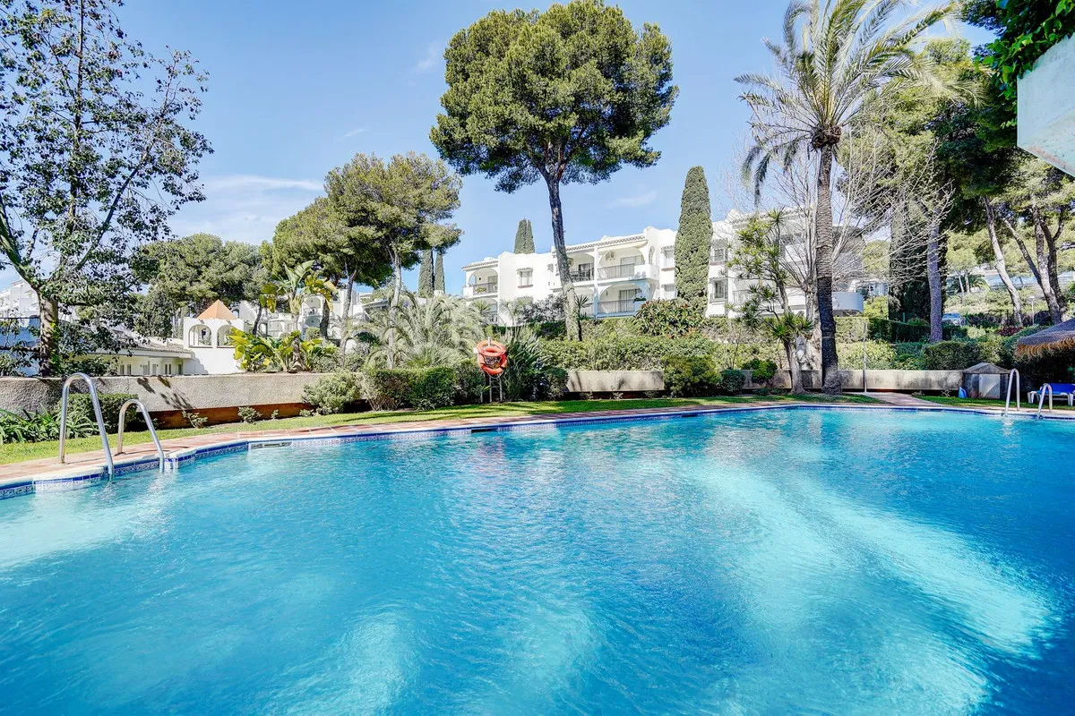 ed86a2ee-42b1-414d-8b52-c3306b767856