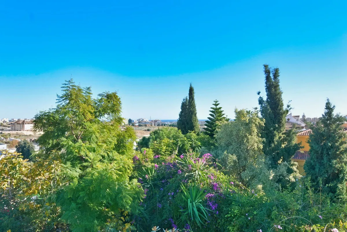 80405343-2238-4e20-ac9a-0538cd6a81ed