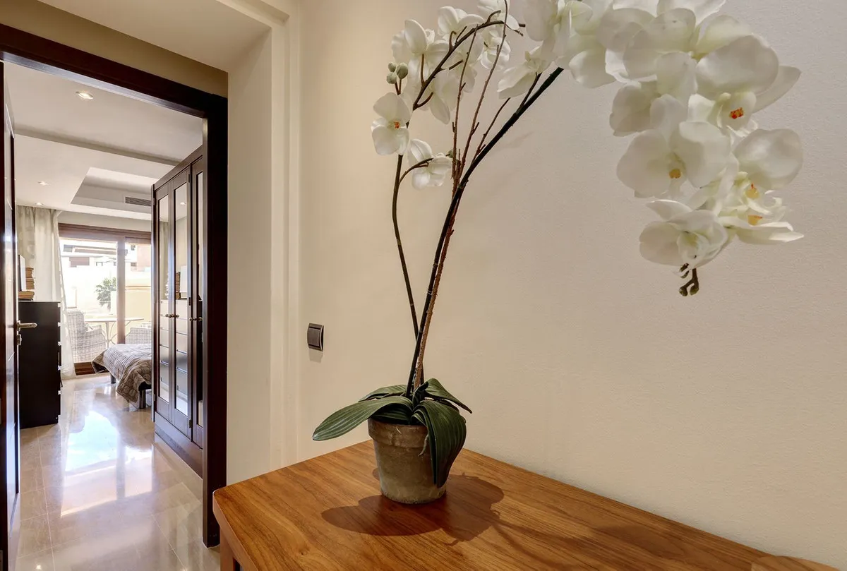 6db4c4a0-be4a-49c2-b99f-dd207b99e8e3