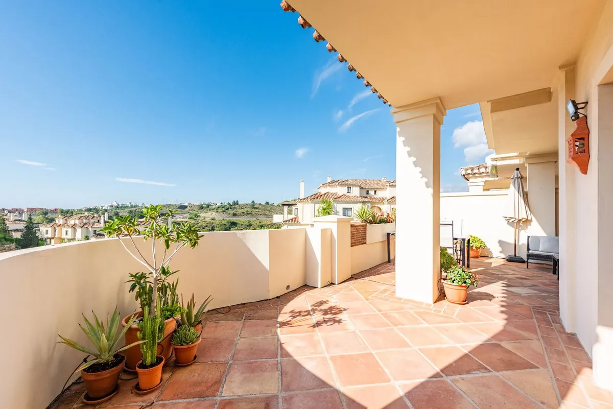 11ed0dc1-5f55-4818-95c0-902d91029340