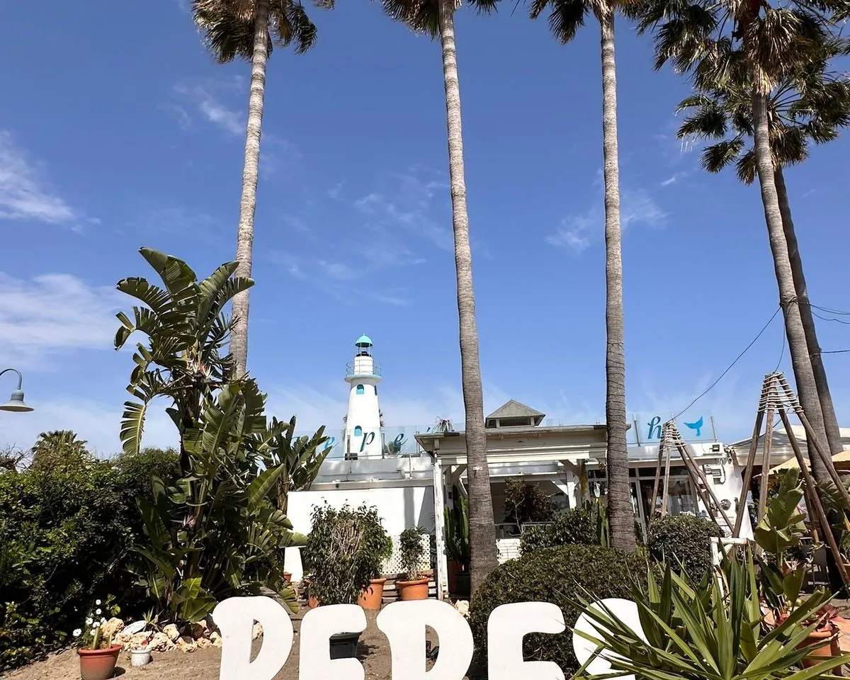 c6007f9f-3c9d-4375-8850-c965ba78a977