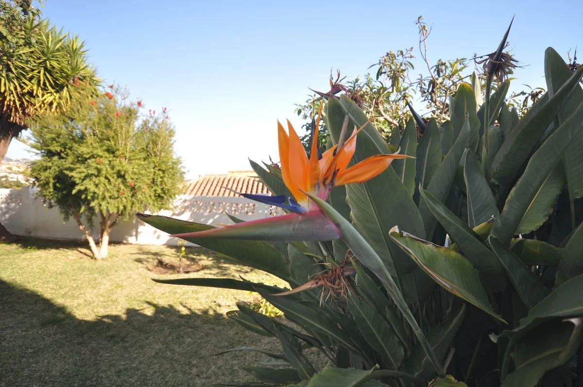 4eb395e4-a6b4-435b-a216-e557c87387ca