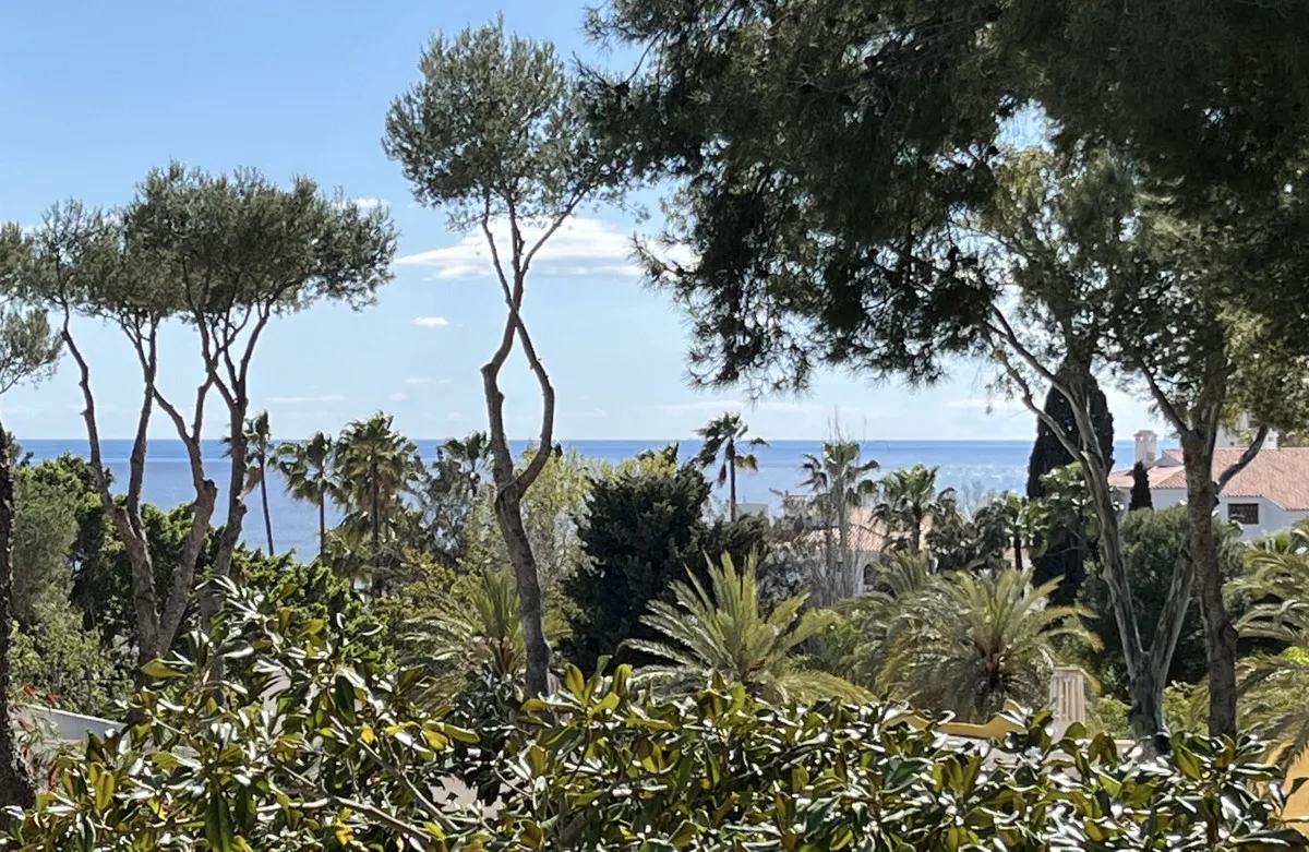 6c8a34e6-31ba-43d8-9cf4-aa44c5079f86