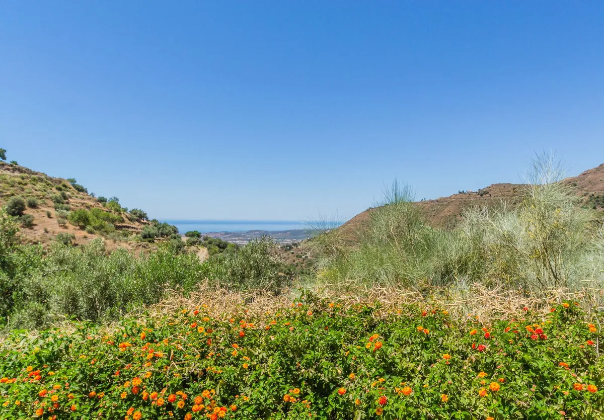 65b4905a-d140-494f-873b-275362a8cbd1