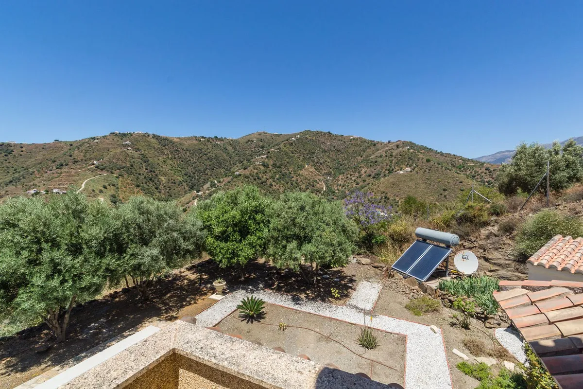 a53002c2-044a-4ff1-a523-83d02ea242a7