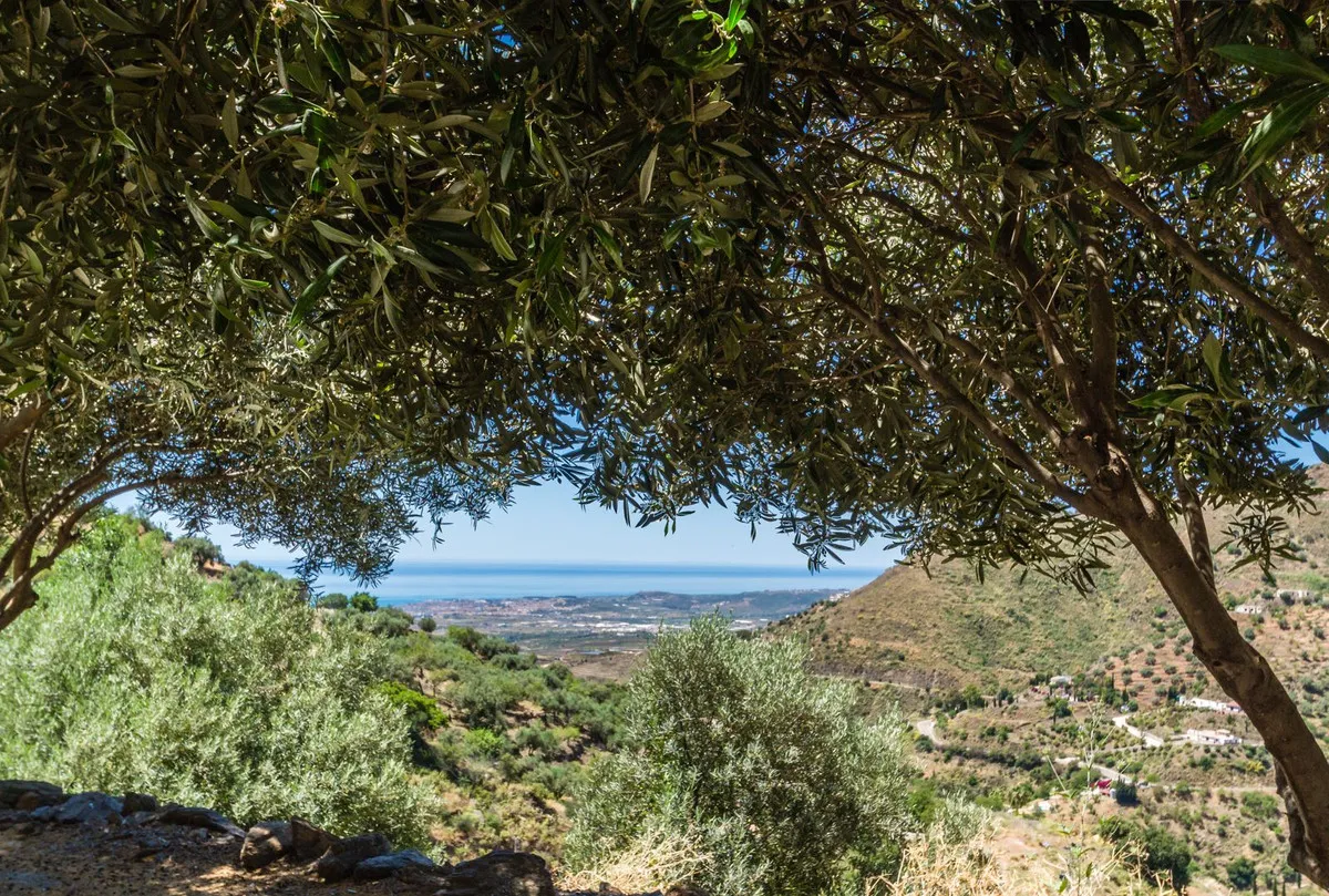 b319085a-effa-44f1-bfa9-f7855717e834