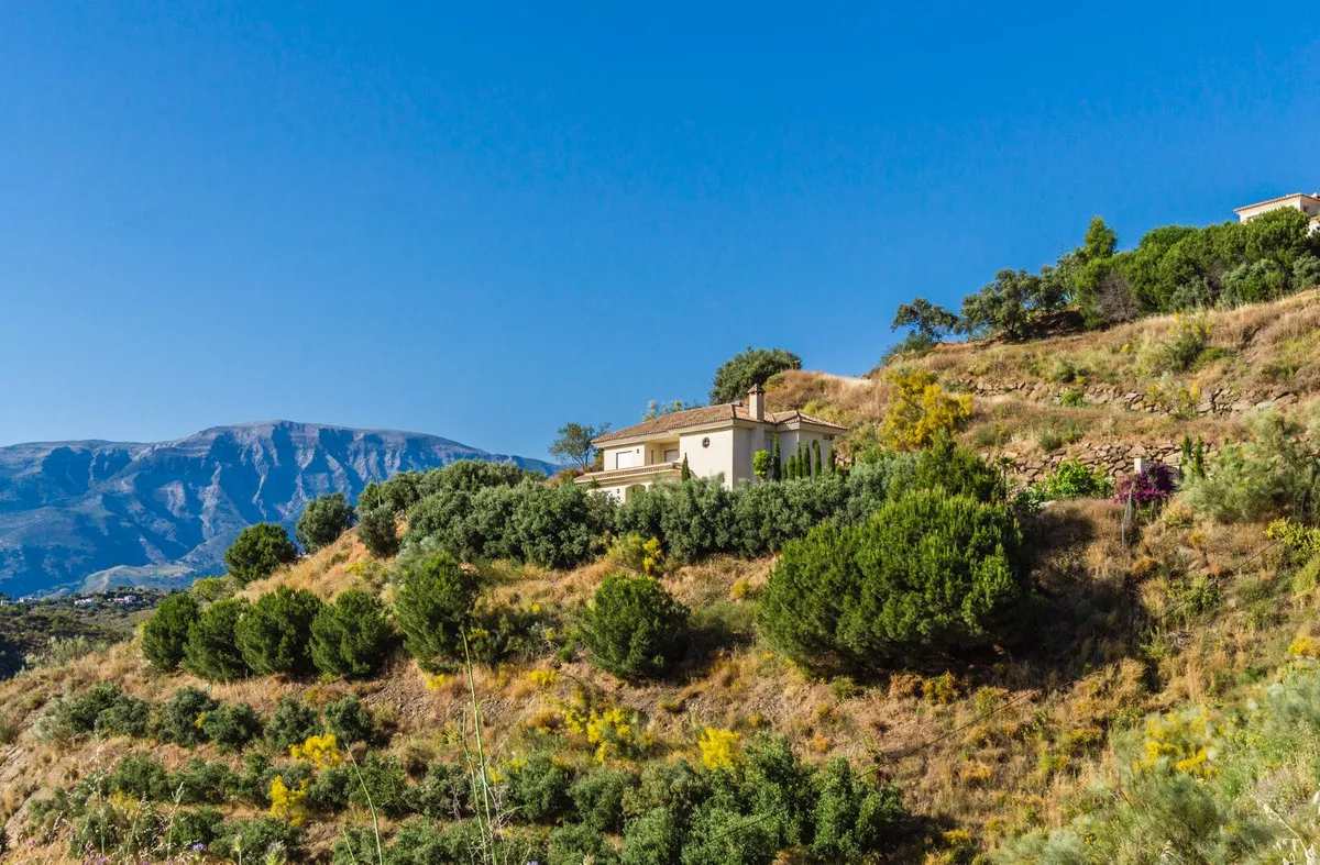 ddeedf51-ffd7-4fb6-9854-8677be8126ca