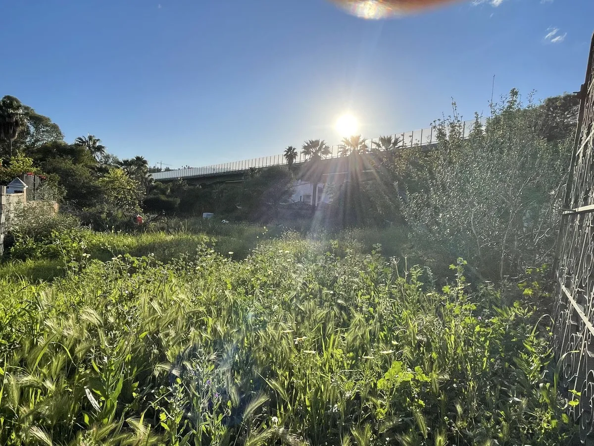 eedce972-ccdc-4808-a085-53d223d9456d