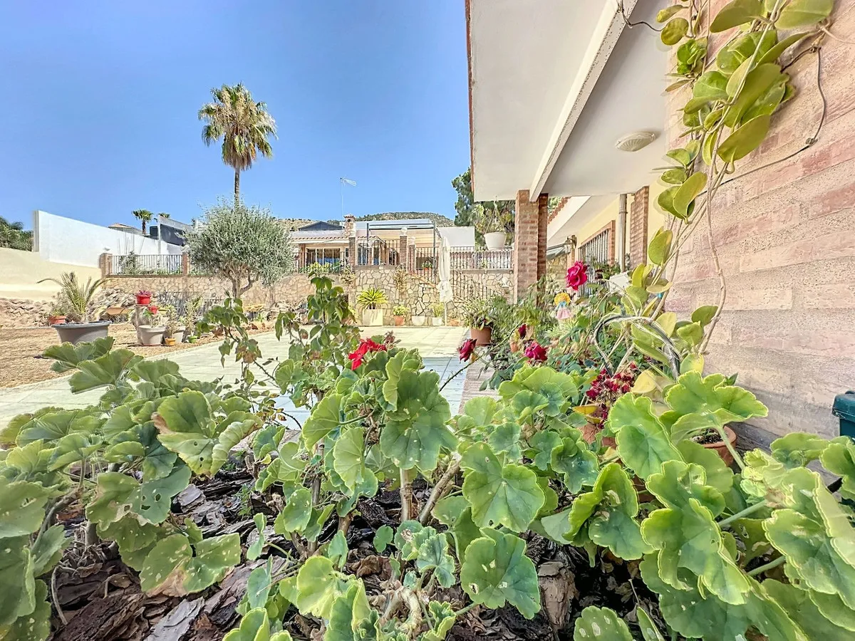 9c4613bb-472c-4161-8478-8edd1e8150fc