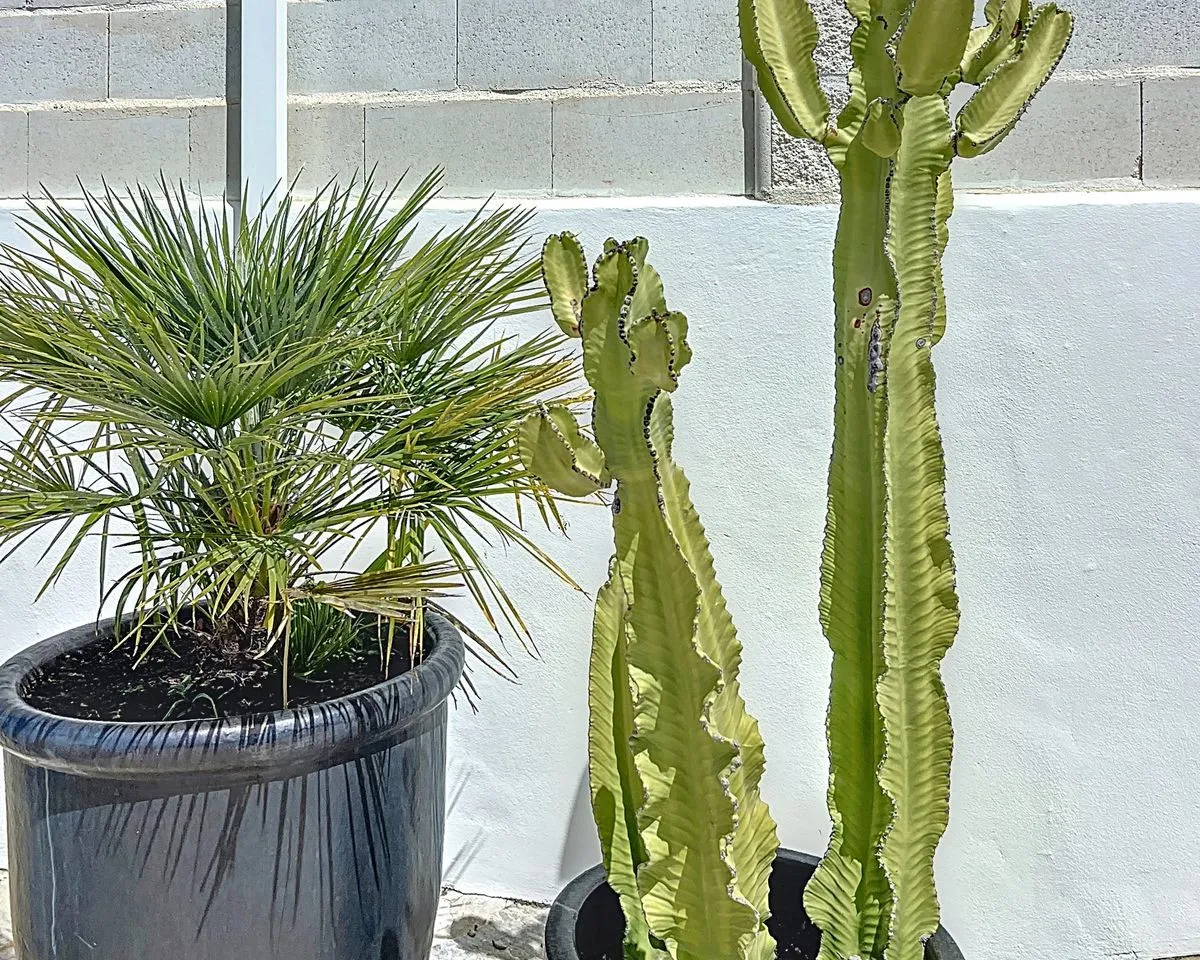 73892a97-3bec-4d17-a9fa-6c736b4c2089