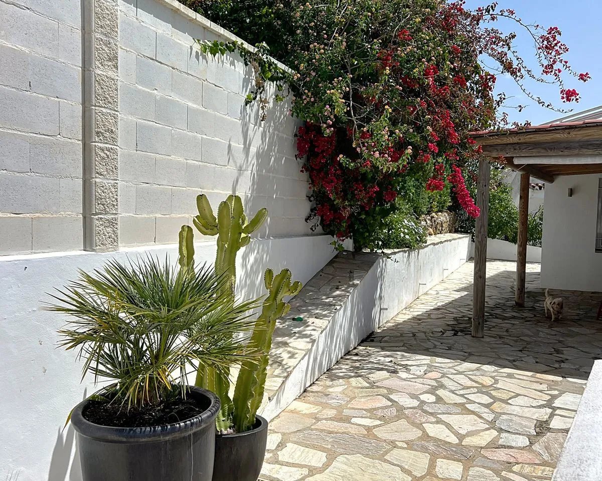 7804fa31-7441-4e97-8321-7d7e6dd33750