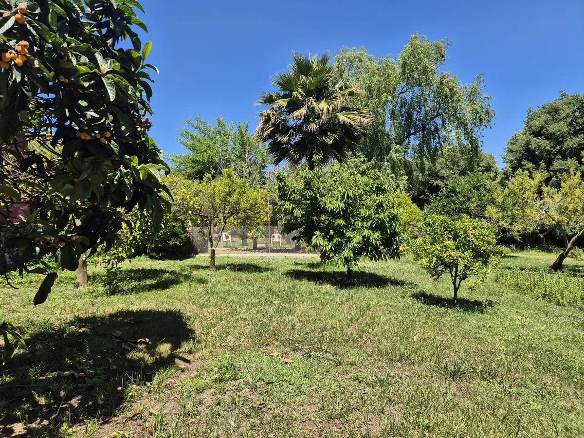 f2d5bd78-28bb-4f70-bd6a-3a1c2ba3f7ac