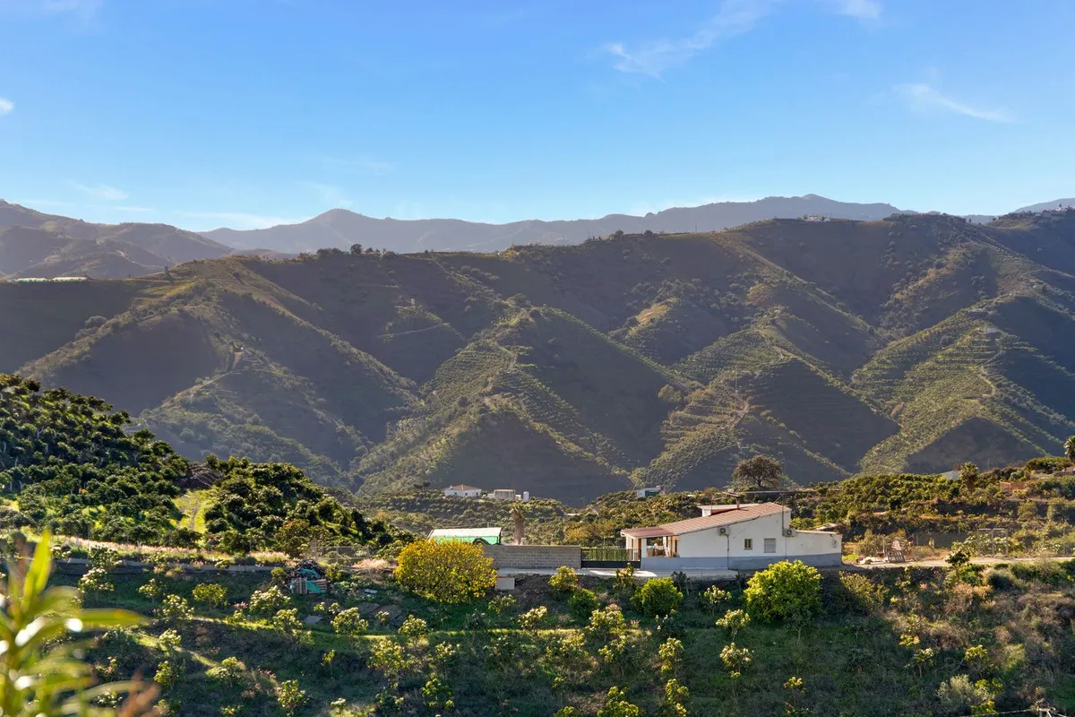 184efa6a-a8e6-4b0e-9f45-808fda756b5b