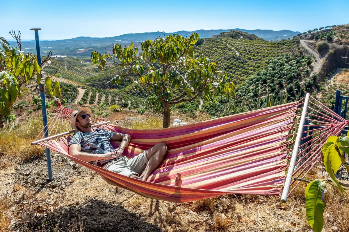 cf0bd7ff-fb38-42d8-80b0-4c4936903111