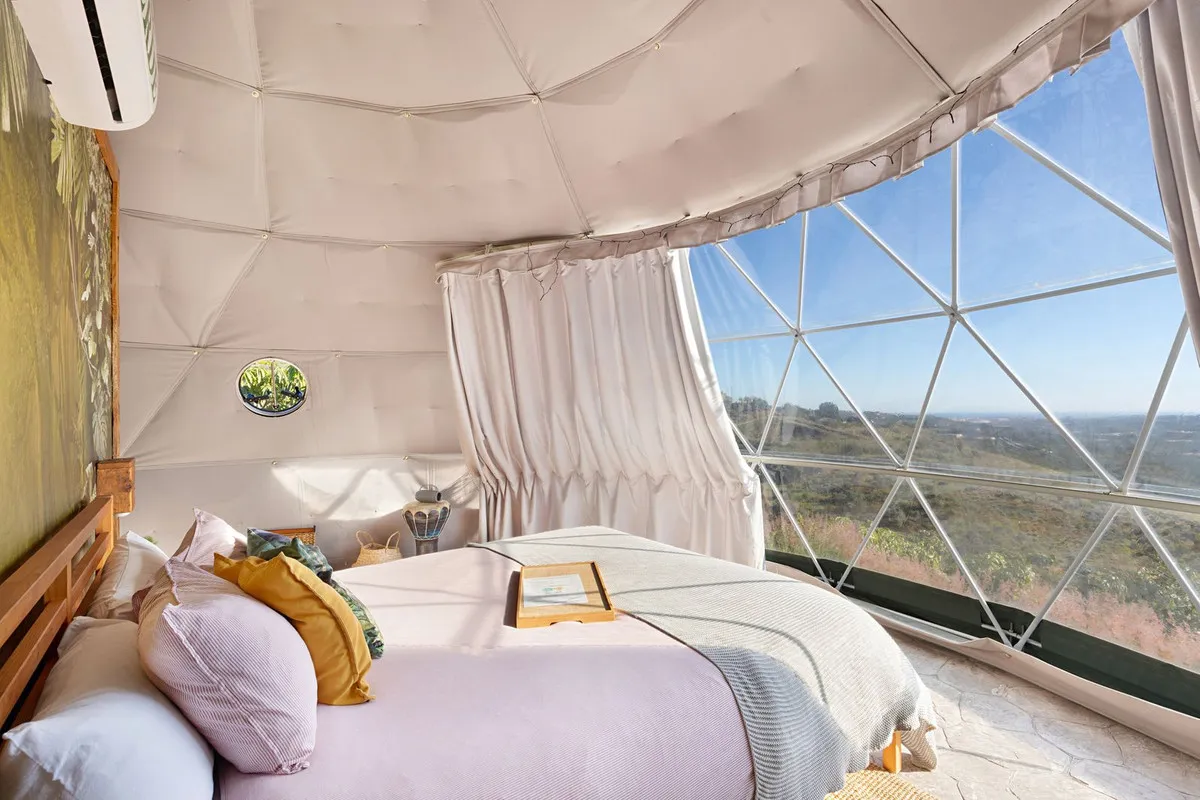 d7a7855d-c3cf-4fa0-8d37-d1654f7fc46a