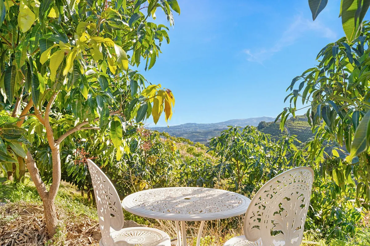 def2386b-6d0d-470e-9f91-4f25e91ad387