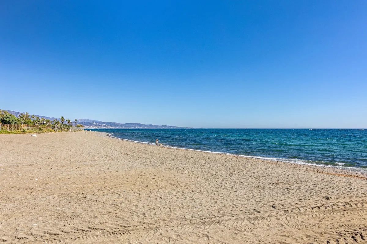 935ba98f-fe40-45b0-a117-1919b8dbd195