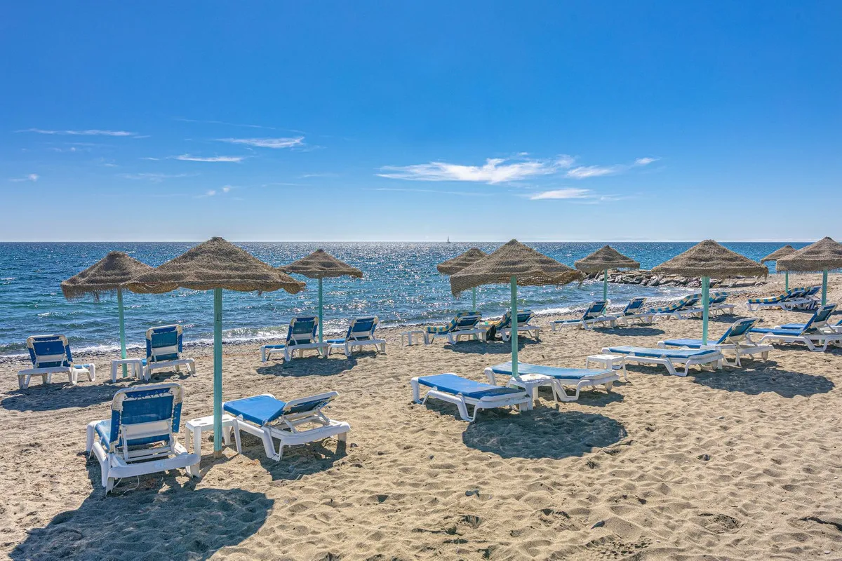 e79c644a-caf3-4af4-883f-1894e59b39c1