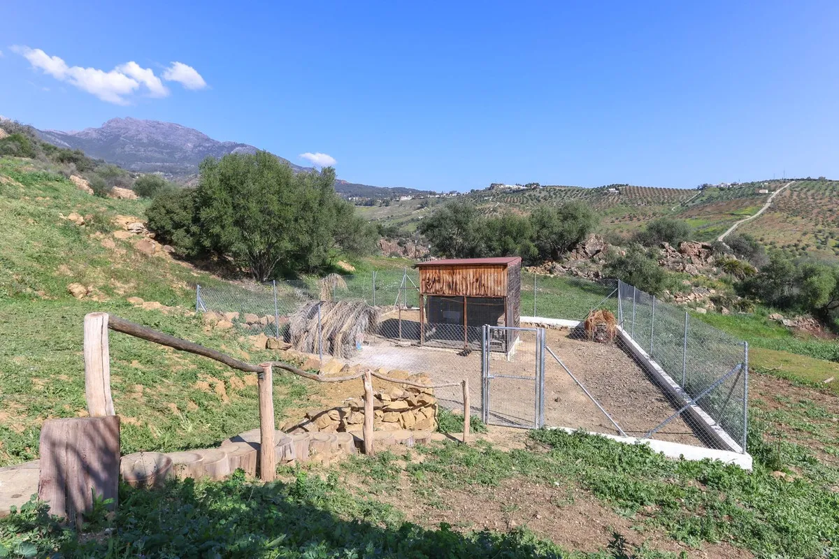 27a994ab-7a06-4e11-922e-a68ff6be1c71