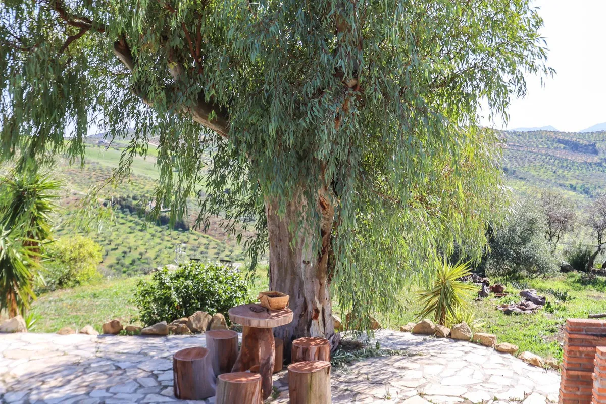 3a0280da-32b5-41a5-b34e-351d0c1e3e56