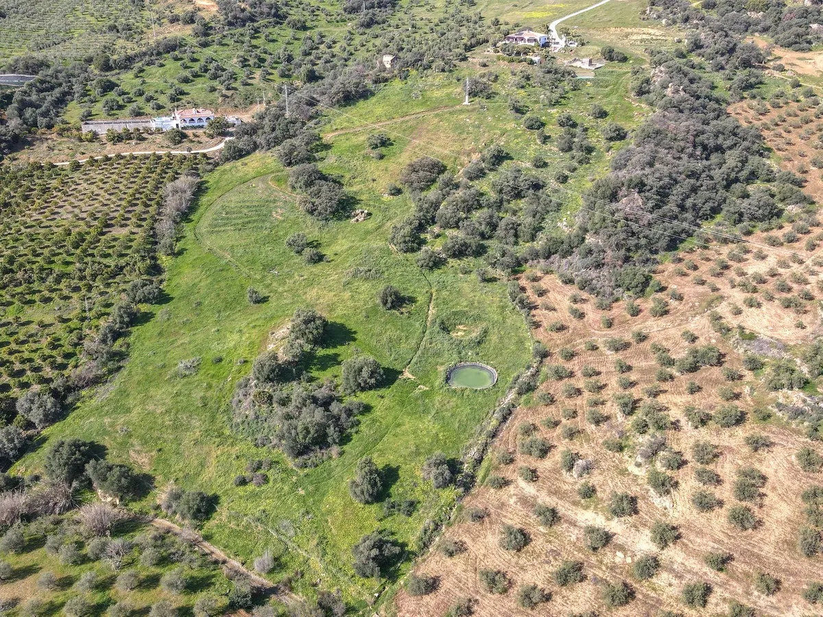 40ef9dc8-0a90-4397-b650-036a6bf93af6