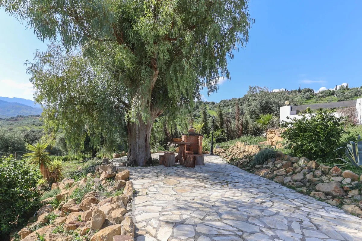 8a9d7669-4342-4f9a-8f66-f653221415d7