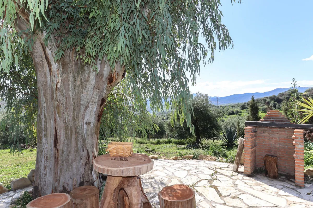 bae97e4d-be4d-44e0-8927-7ebb6a1e3813